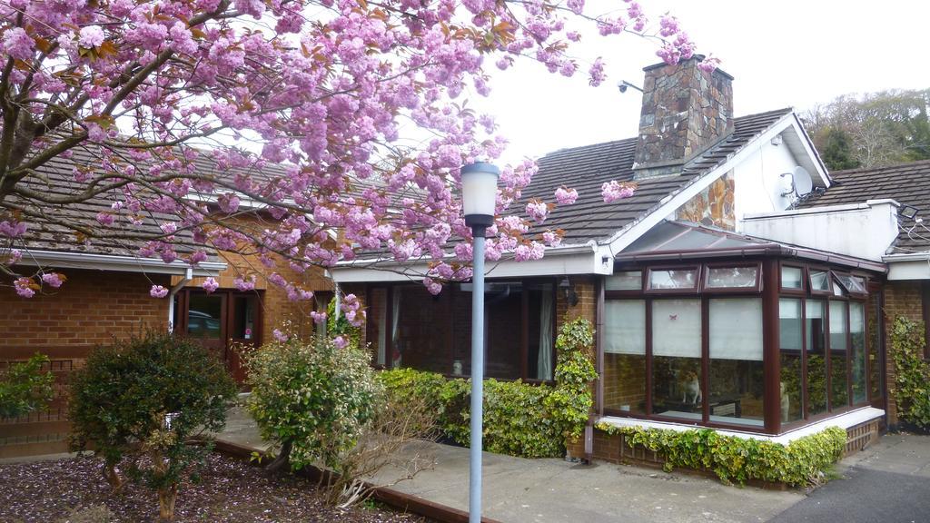 Woodville B&B Bray Buitenkant foto