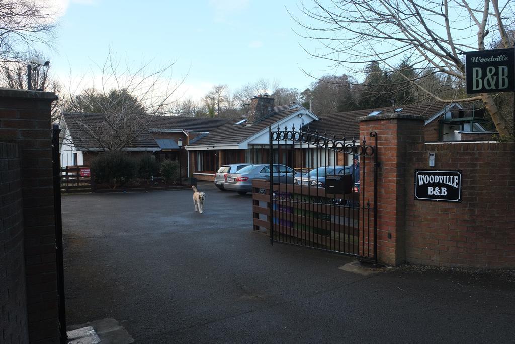 Woodville B&B Bray Buitenkant foto